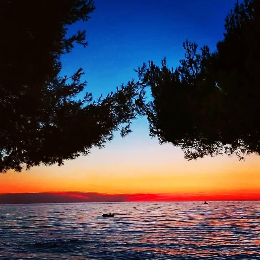 Bp * Porec